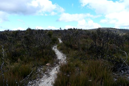 Wog Wog to Corang Peak, Corang Arch and Canowrie Brook, Morton National Park 69