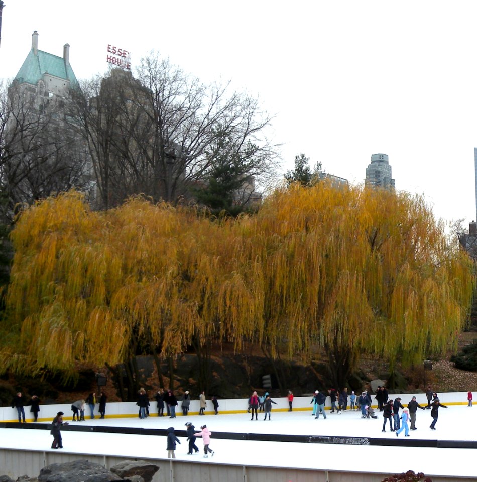 Wollman Weeping Willows turning jeh