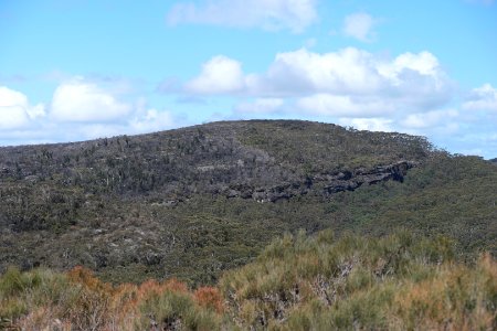 Wog Wog to Corang Peak, Corang Arch and Canowrie Brook, Morton National Park 60