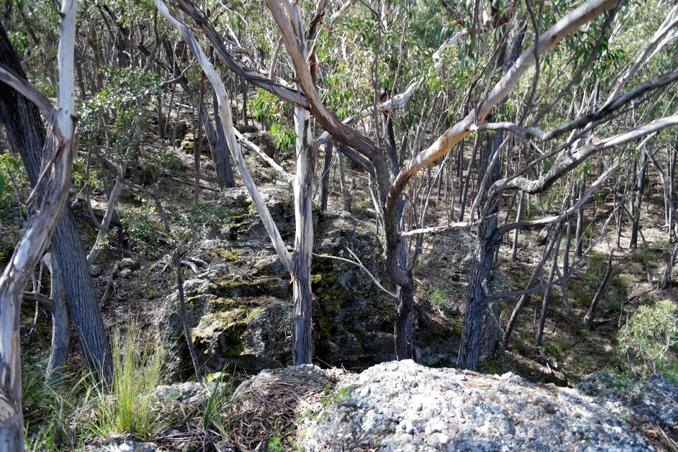 Wog Wog to Corang Peak, Corang Arch and Canowrie Brook, Morton National Park 37