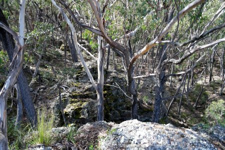 Wog Wog to Corang Peak, Corang Arch and Canowrie Brook, Morton National Park 37