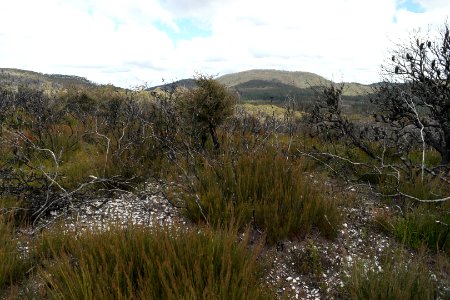 Wog Wog to Corang Peak, Corang Arch and Canowrie Brook, Morton National Park 70