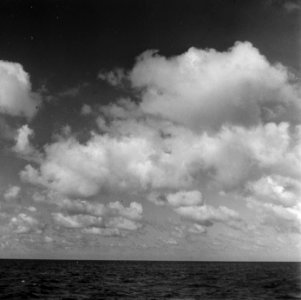 Wolkennegatieven, Bestanddeelnr 903-5036