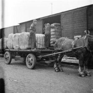 Wolimport uit Zuid- en Noord-Amerika, Bestanddeelnr 900-6873