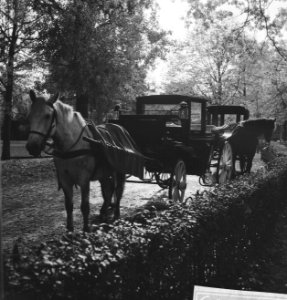 Wolkenlucht boven Amsterdam. Paard en koets, Bestanddeelnr 913-1003
