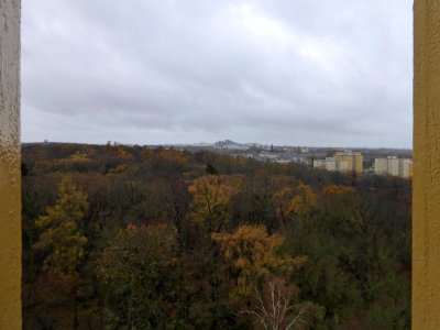Wolfsburg Joseph Blick