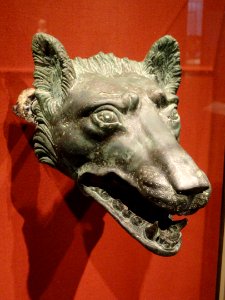 Wolf Head from pleasure barge, 1-100 AD, Roman, Italy, bronze - Cleveland Museum of Art - DSC08310