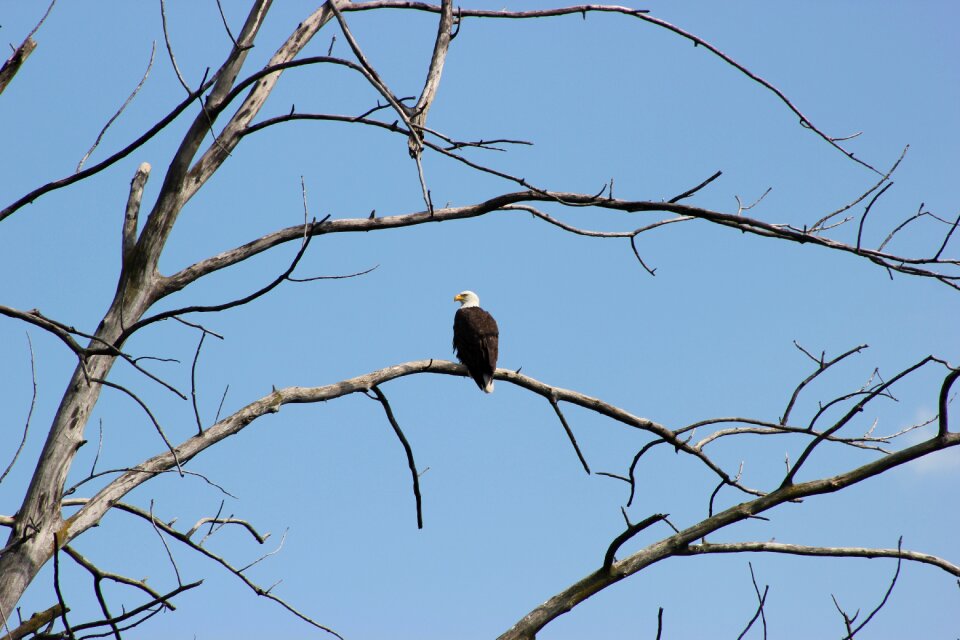 Pride national nature