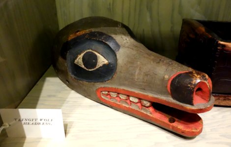 Wolf headdress, Tlingit - Oakland Museum of California - DSC05112