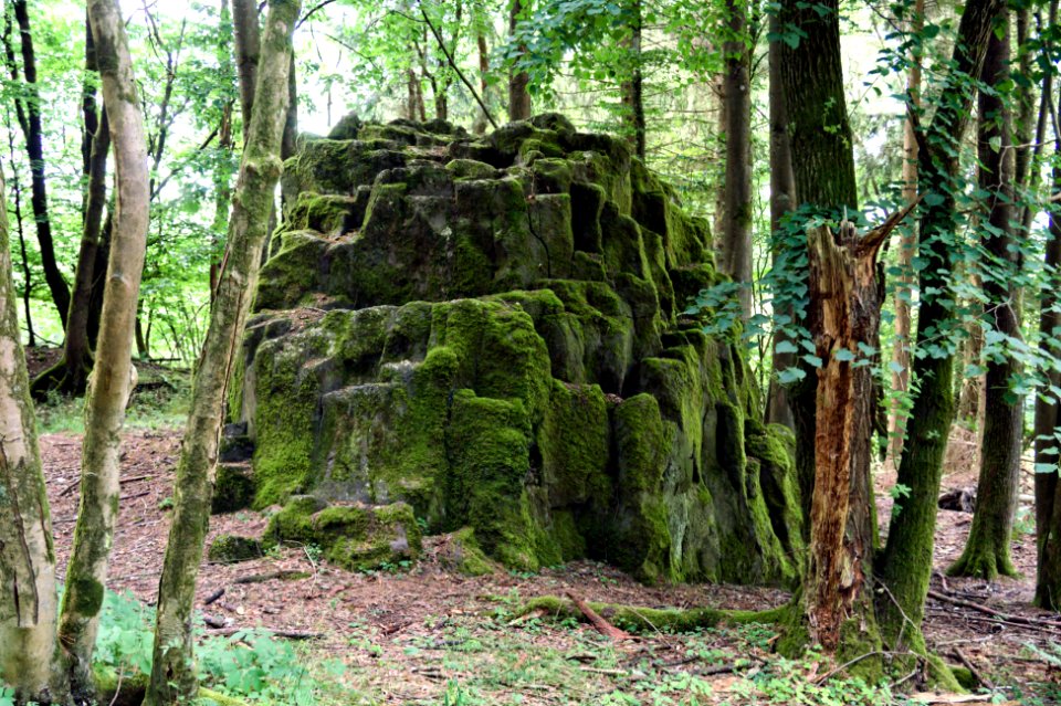 Woldert Wilder Stein (04)