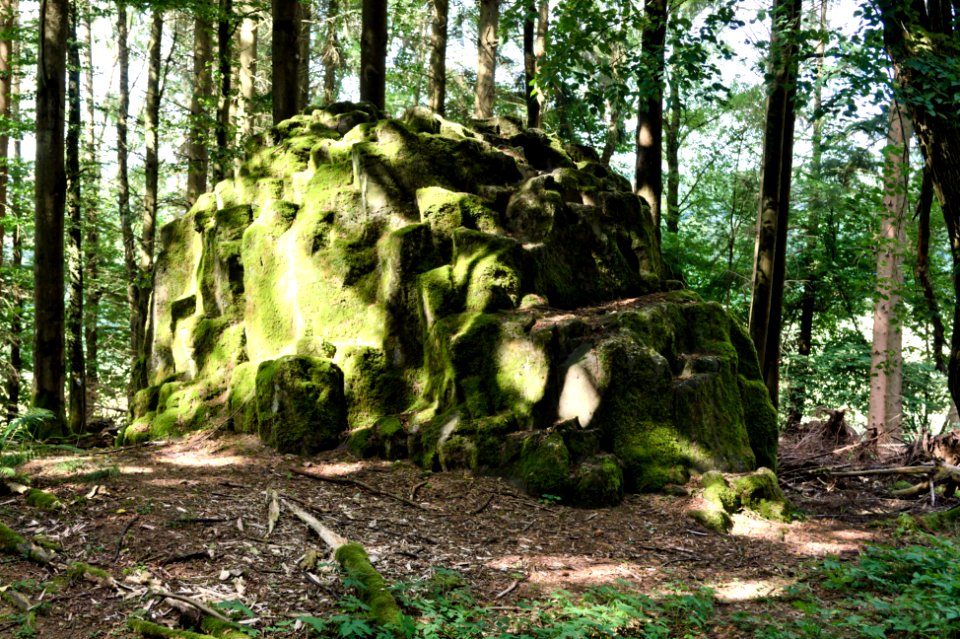 Woldert Wilder Stein (03)