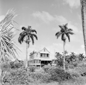 Woning op het platteland van Suriname, Bestanddeelnr 252-2615