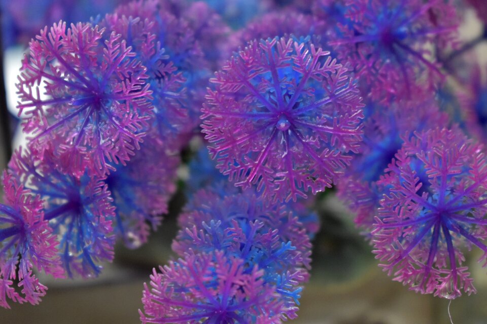 Flowers crystals showpiece