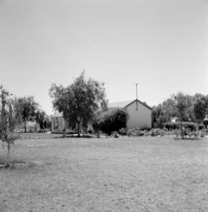 Woningen met tuinen in de kibboets Revivim in de Negevwoestijn, Bestanddeelnr 255-3960