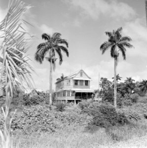 Woning op het platteland van Suriname, Bestanddeelnr 252-2614