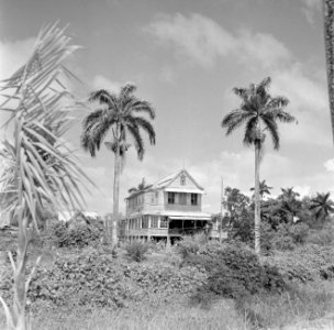 Woning op het platteland van Suriname, Bestanddeelnr 252-2613