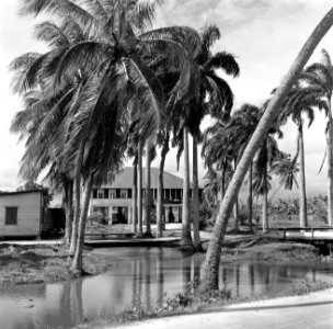 Woning van de districtsgeneesheer in Nieuw-Nickerie, Bestanddeelnr 252-5441