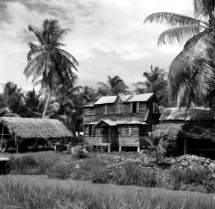 Woning van een hindostaanse rijstboer in Nieuw-Nickerie, Bestanddeelnr 252-5504