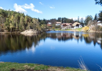 Wolfsgrubner See, NW-Teil