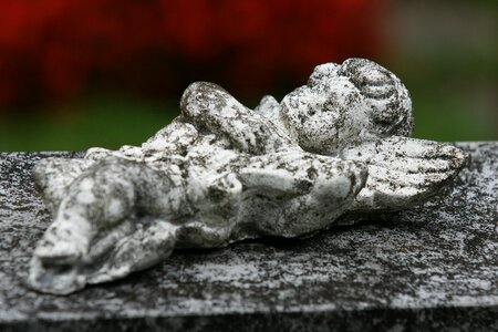 Contemplative mourning peace
