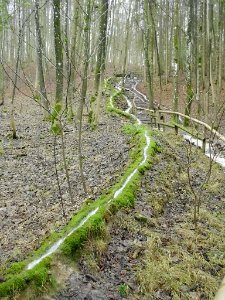 Wolfsbronn, Steinerne Rinne (8)