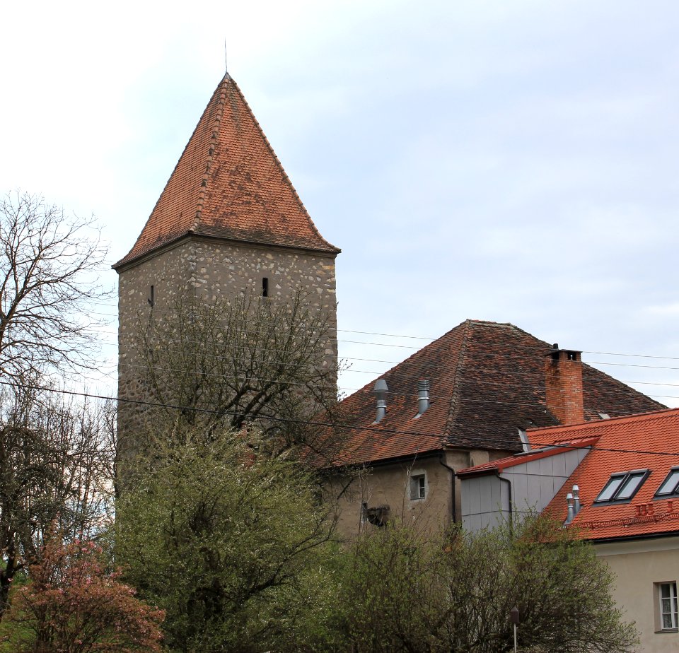Wolfsberg- Reckturm