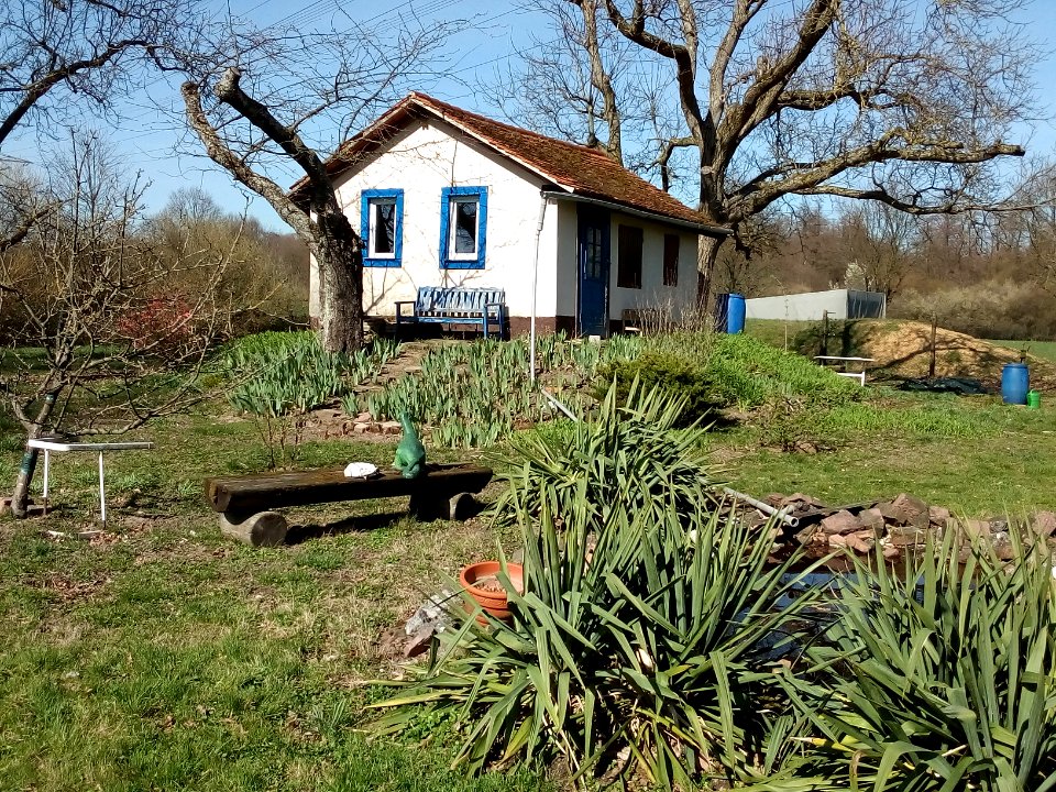 Wolfsraingraben, Gartenlaube auf Warft