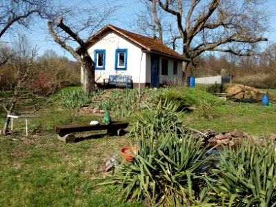 Wolfsraingraben, Gartenlaube auf Warft