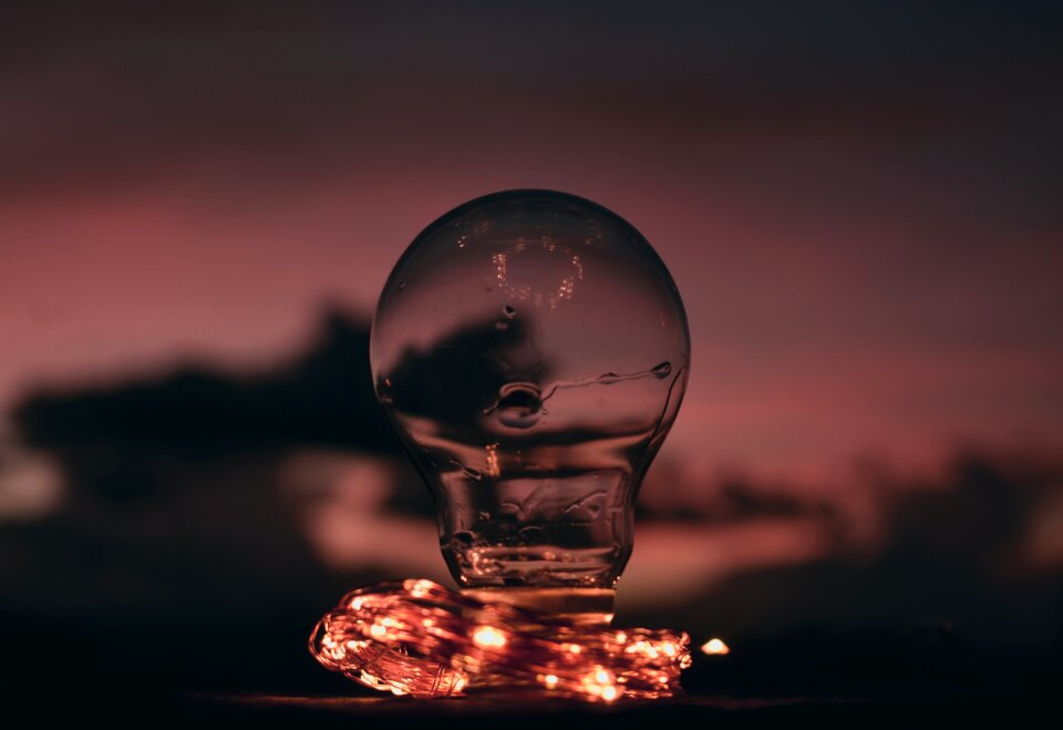 Nature darkness focus