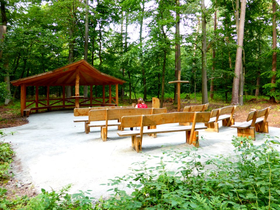 Wolfsburg Tiergartenbreite Wald