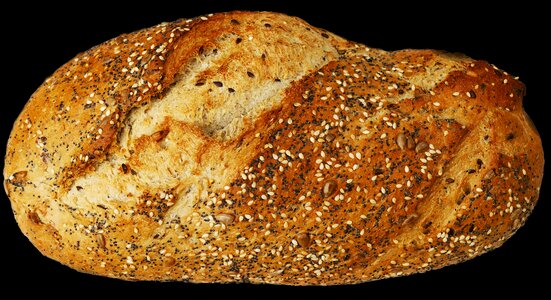 Loaf crispy baked photo