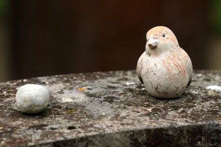 Contemplative mourning peace