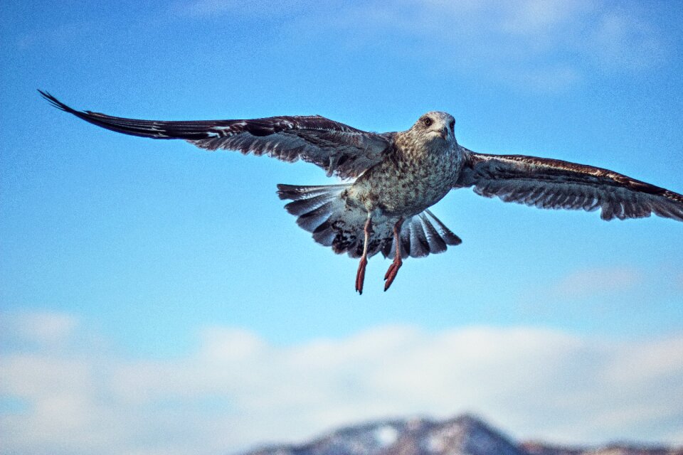 Outdoor sea flight