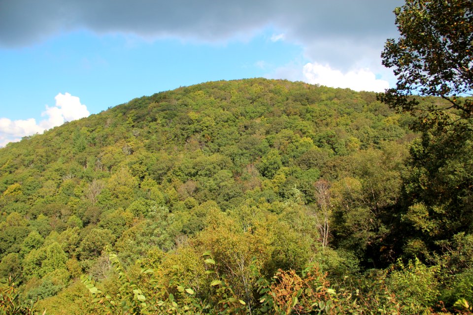 Wolfpen Stamp viewed from Hogpen Gap, Oct 2018