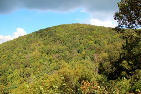 Wolfpen Stamp viewed from Hogpen Gap, Oct 2018