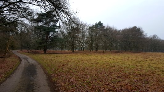 Wolfheze-locatie van het oude dorp (1)