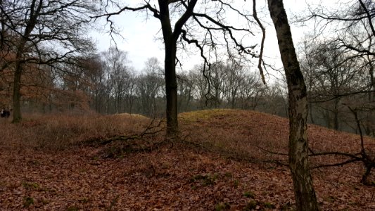 Wolfheze-tumuli Oude Kloosterweg (4)