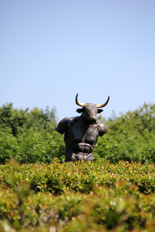 Sculpture garden statue