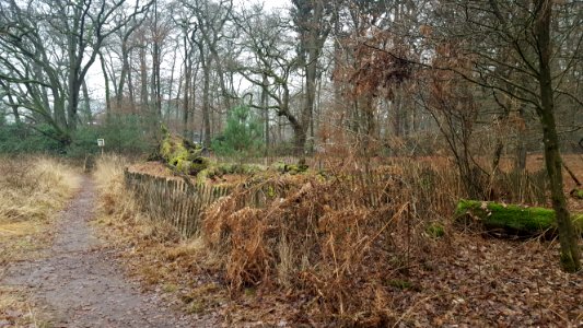 Wolfheze-Duizendjarige den (6)