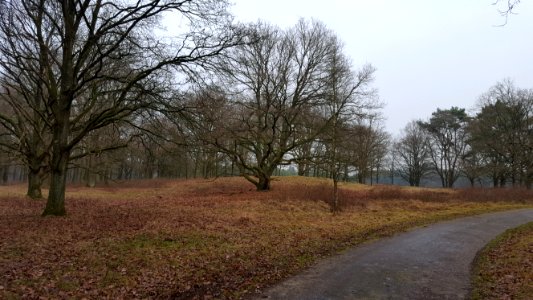Wolfheze-locatie van het oude dorp (5)
