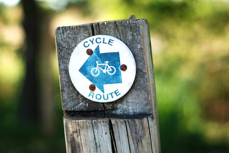 Bike wood trees