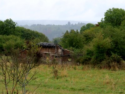 Wollseifen Dreiborn 23