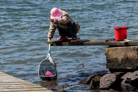 Woman fishing for shore crabs 3