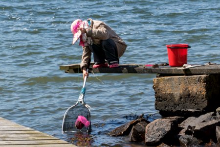 Woman fishing for shore crabs 2