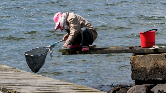 Woman fishing for shore crabs 1