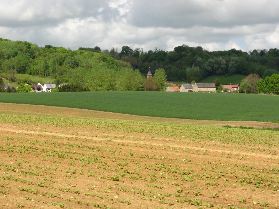 Wissignicourt (Aisne) paysage avec vue du village