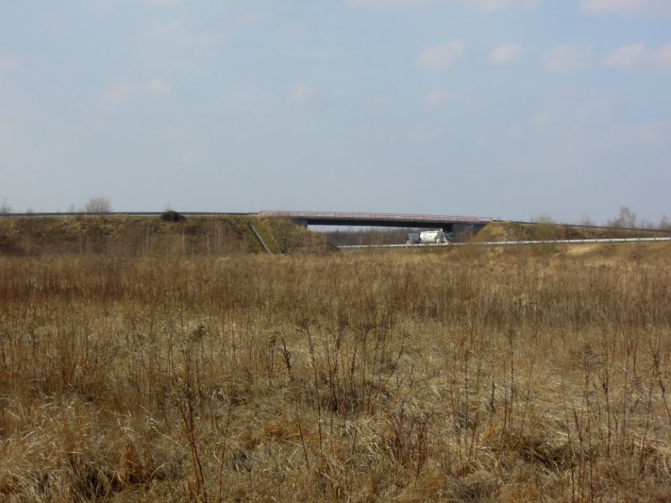Wirtschaftsbrücke über die BAB 38 zwischen Gaschwitz und Zwenkau im März 2018