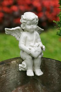 Contemplative mourning peace