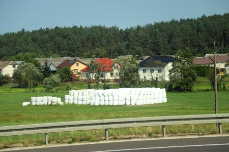 Wisniowek wertyce podlaskie region august 2018