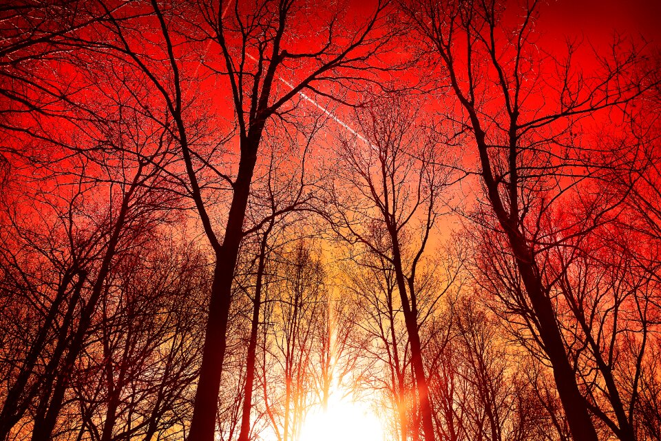 Silhouette sunset red skies